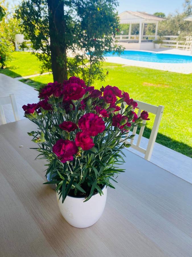 Chanel Garden Relaxation Home Formello Dış mekan fotoğraf