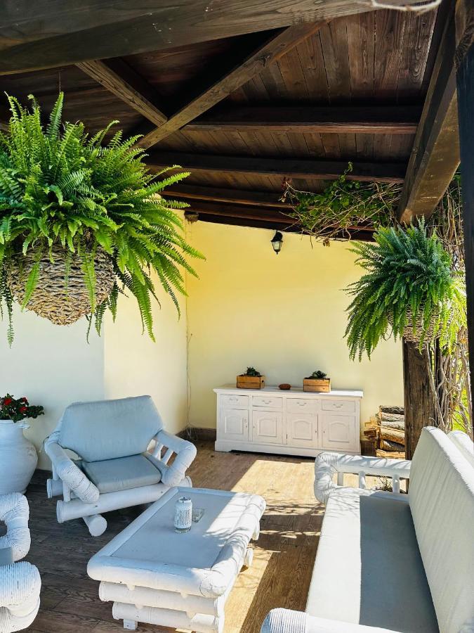 Chanel Garden Relaxation Home Formello Dış mekan fotoğraf